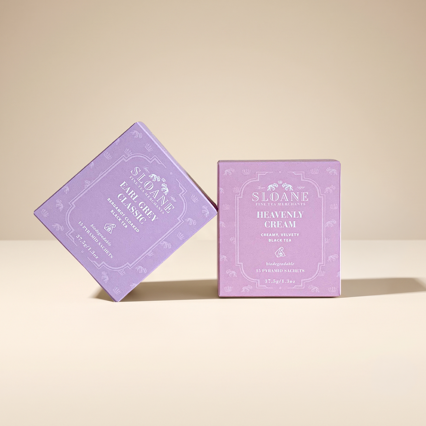 15ct Sachet Boxes Case of 8